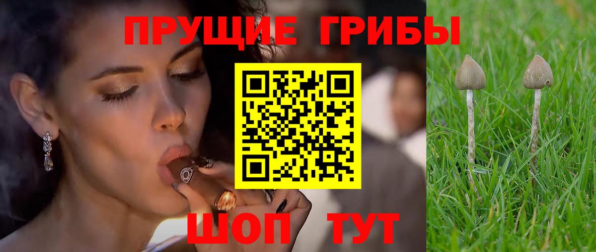 Галлюциногенные грибы мухоморы Отрадное