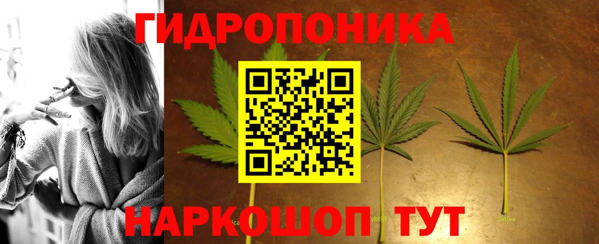 Канабис планчик  Конопля THC 21%  Шишки марихуана AK-47  Отрадное  Вход с VPN 